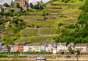 You heard it on the grapevine