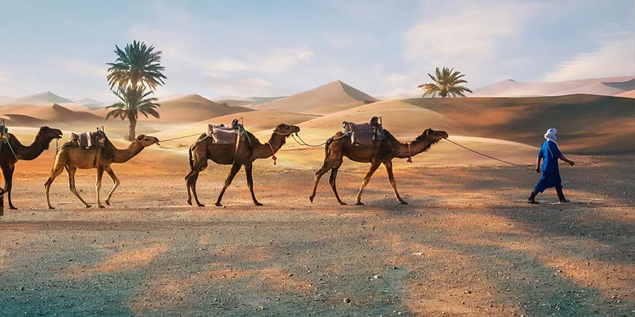 Experiencing a magical night under the starlit desert skies