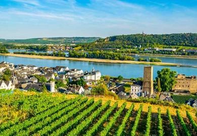Rudesheim Rudesheim